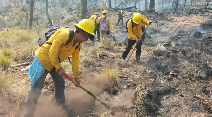 Incendios consumen 108 hectáreas en Morelos