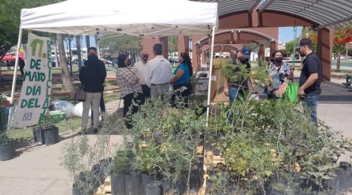 Invitan ¡HOY! al Ecotrueque en Ciudad Obregón