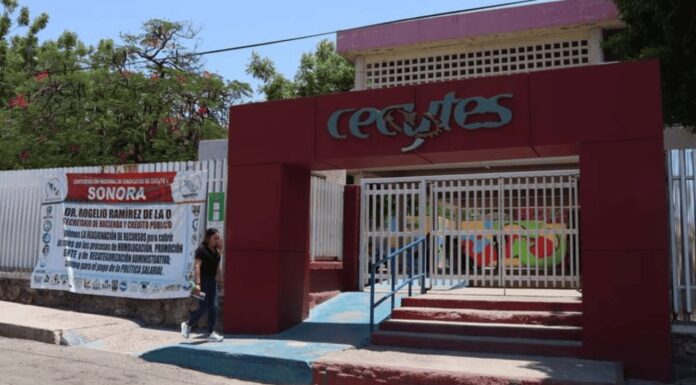 Maestros del Cecytes logran aumento salarial tras años de rezago