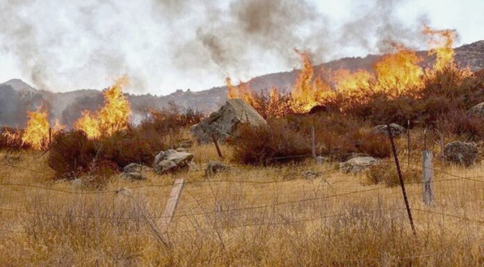 Se han registrado 16 incendios forestales en el estado, reporta la CEPC