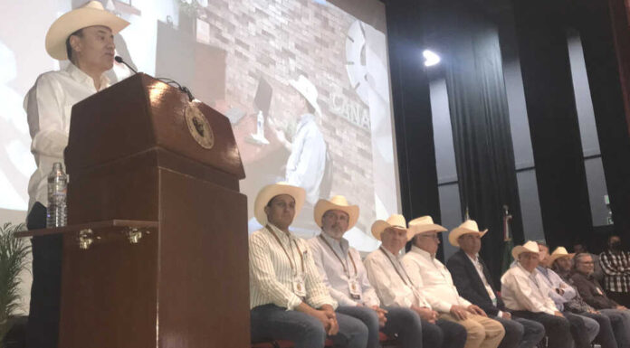 Sequía en Sonora afecta 40% de asociaciones ganaderas; UGR y Sagarhpa lanzan plan para enfrentar impacto