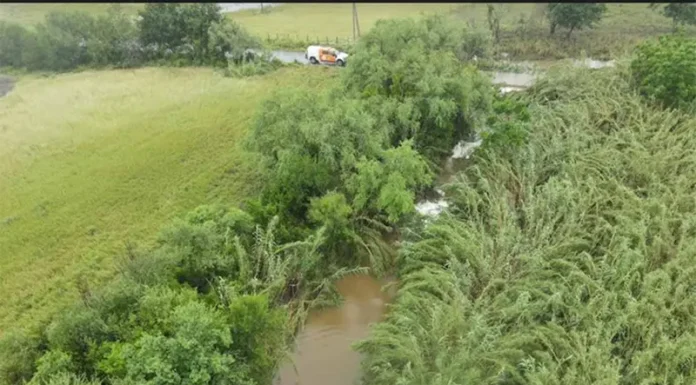 Hallan sin vida a sexta víctima por lluvias de ‘Alberto’ en Nuevo León