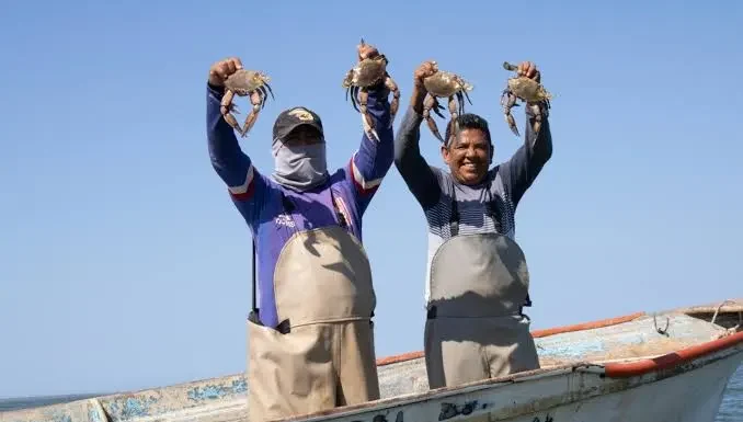 Esperan pescadores levantamiento de veda para jaiba