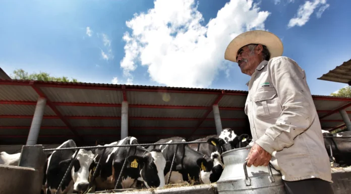 Buscan mejorar sanidad en producción pecuaria