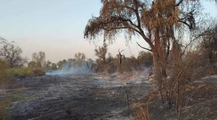Arde Río Mayo