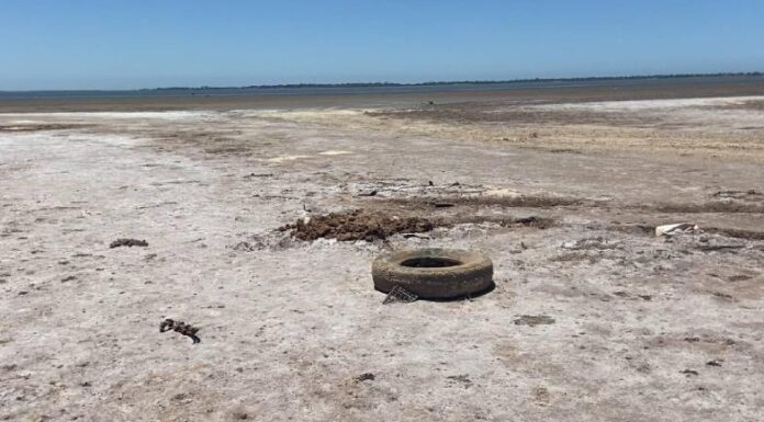 Industrias contaminan Bahía de Yavaros en Huatabampo