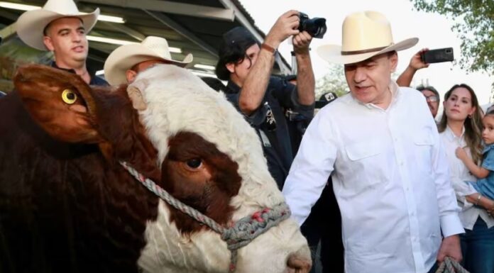 Sonora hace historia en exportación ganadera: Alfonso Durazo