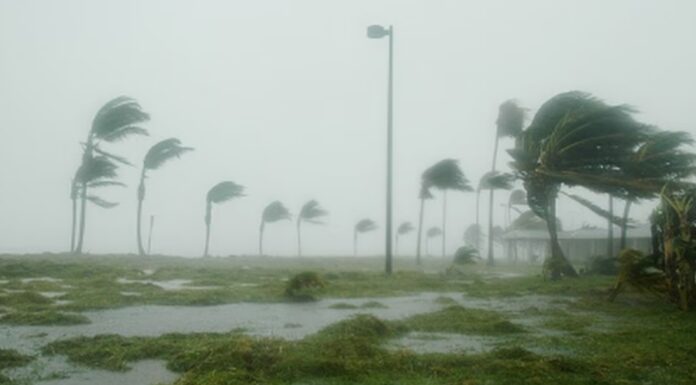 ¿Qué es el fenómeno de La Niña y El Niño y qué efectos se reflejarán en México?