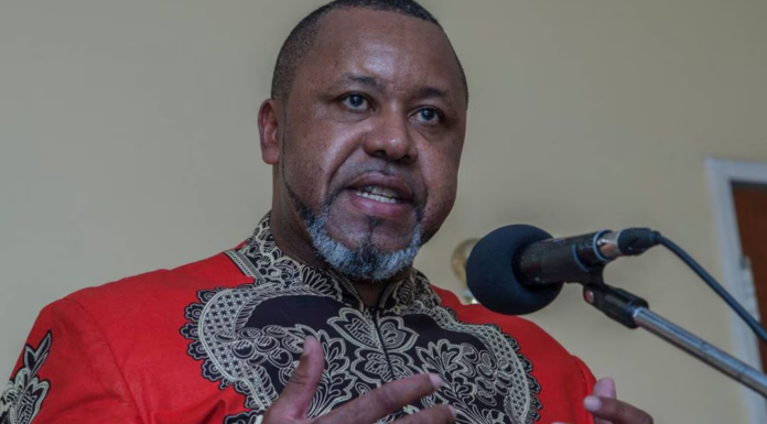 Desaparece avión militar en el que viaja vicepresidente de Malaui y 9 personas