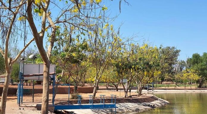 Floreó la lluvia de oro, pero en menor proporción