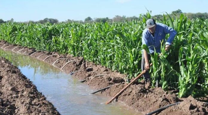Investigan el impacto que tienen actividades primarias del VY en el Mar de Cortés