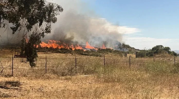 Suman 800 hectáreas afectadas por incendio en Valle de Guadalupe, Baja California