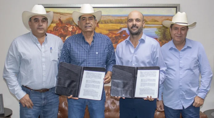 Darán créditos a los ganaderos de Sonora