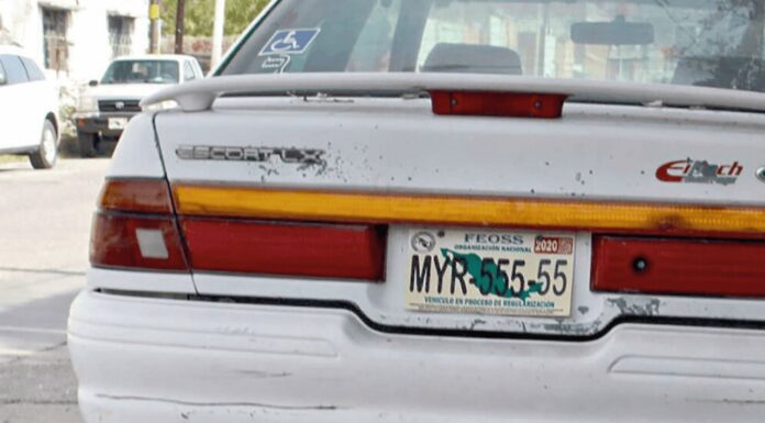 ‘Pafas’ buscan luz verde para circular libremente en vacaciones