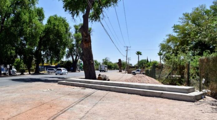 Restauran letras de Cócorit tras caerles un árbol encima