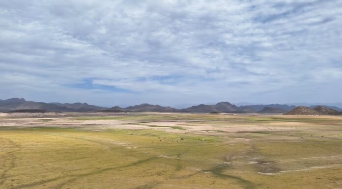 Recientes lluvias no han llegado a las presas en Sonora