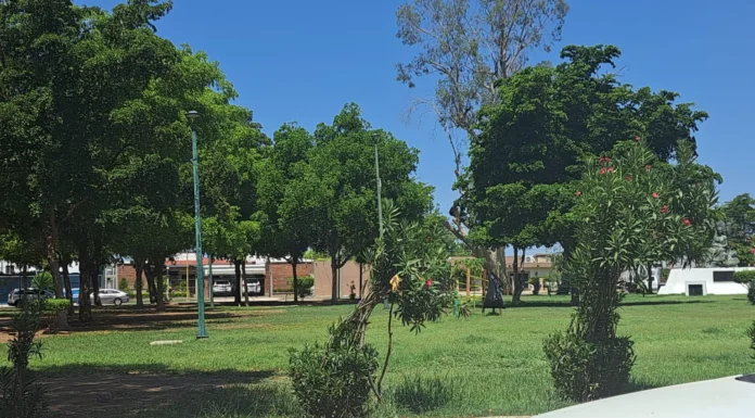 Impartirán taller de riego para tu jardín, así como parques