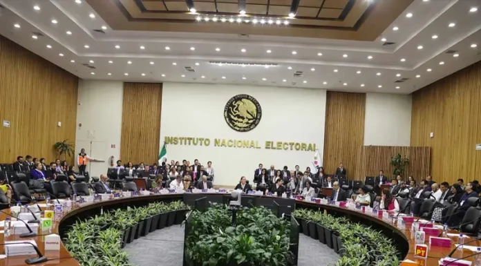 INE abre la puerta a crear nuevos partidos; Marea Rosa alza la mano