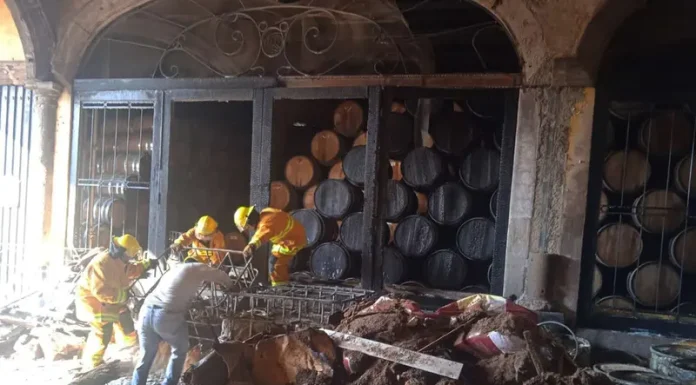 Hallan otro cuerpo sin vida en tequilera José Cuervo; van 6 tras explosión