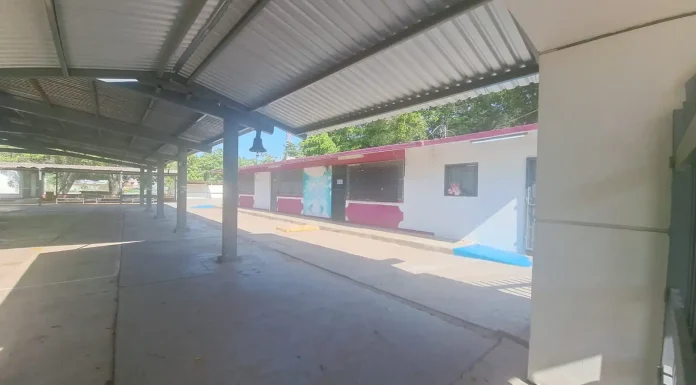 Llaman a ponerse “Trucha con mi escuela”