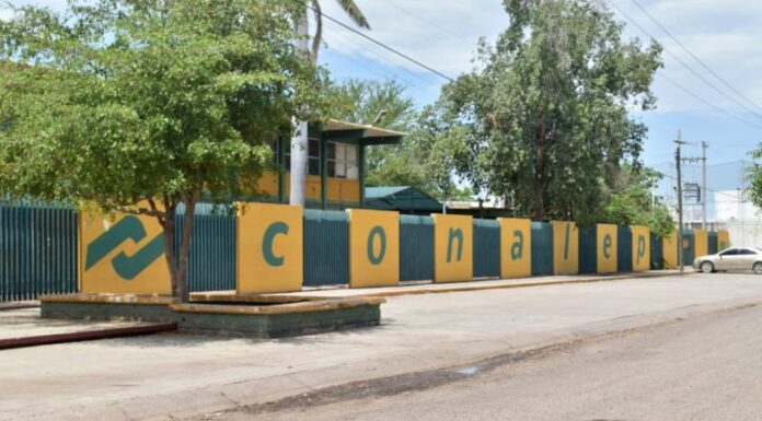 Alumnos del Conalep de Ciudad Obregón brindan atención médica