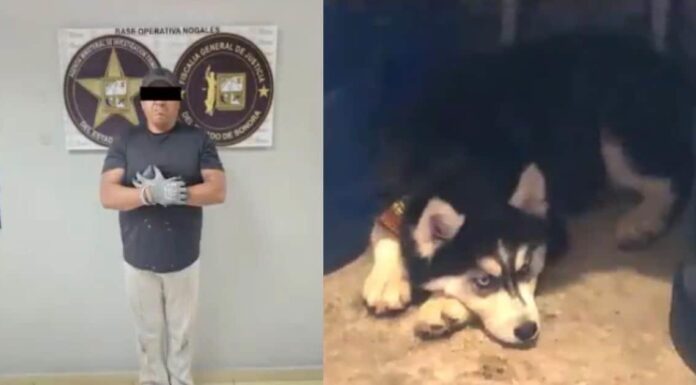 Vinculan a proceso a hombre por asesinar a la perrita de una vecina