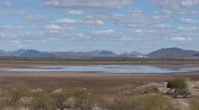 Reciben presas de Sonora primeras aportaciones por lluvias