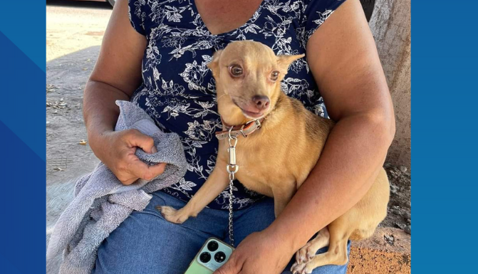 Invitan a esterilizar a mascotas en Cajeme