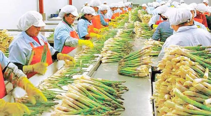 Crecen un 24% exportaciones de Sonora a Estados Unidos