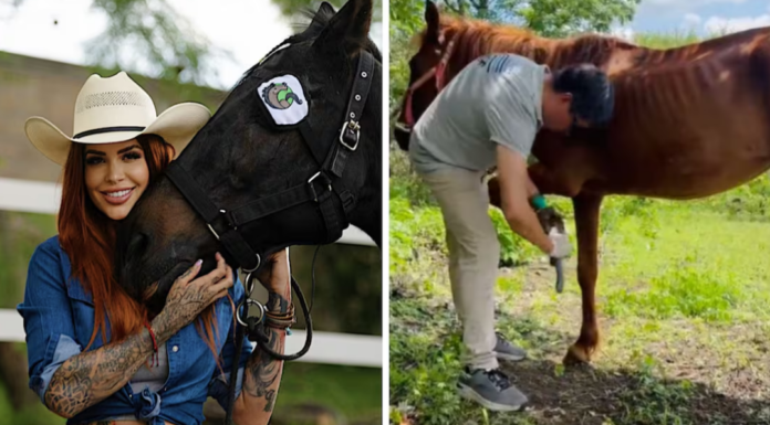 Realizan primer rescate en Cuacolandia tras muerte de Elena Larrea