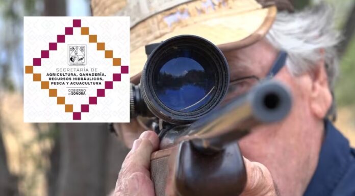 Anuncia Sagarhpa calendario para la temporada de caza en Sonora