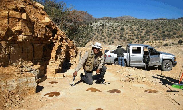 Invitan al «Dino Fest» en Esqueda, Sonora