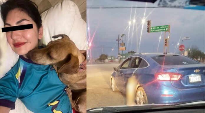 Judicializan caso de ‘Patitas’, perro que murió tras ser colgado de un auto