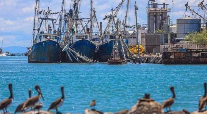 Se previenen por huracanes