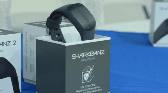 Entregarán brazaletes contra tiburones a pescadores de Sonora