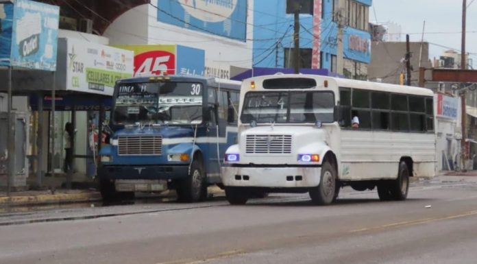 Anuncian más unidades de transporte público y posible metrobus en Cajeme