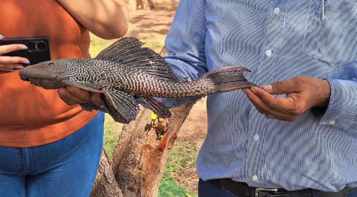 Cierran puente de Boulevard de Las Misiones y Calle 10