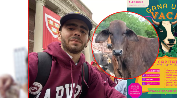 ¡Rifan vaca! Estudiantes buscan apoyo para costear viaje a un concurso internacional