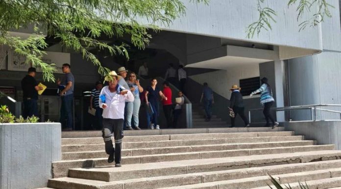 Falla en sistema de Hacienda afecta a gestores de la Agencia Fiscal