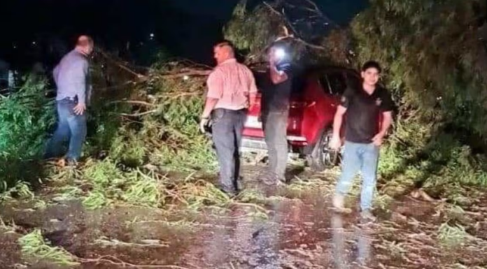 Protección Civil de Cajeme atiende 25 reportes por lluvias