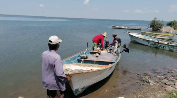 Migran pescadores por baja captura de jaiba