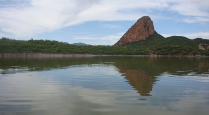 Presa del Novillo aumenta 44% su almacenamiento