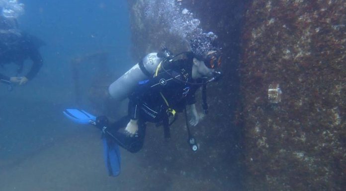 Arrecifes de San Carlos atraen a buzos de todo el mundo