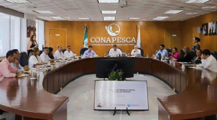 Sonora, líder en pesca