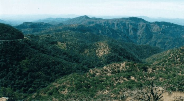 Se recuperan ecosistemas con la inducción de lluvias: Sagarhpa