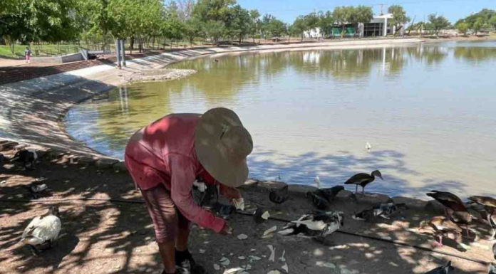 Don José alimenta a los animales de la Laguna del Nainari desde hace 20 años en Ciudad Obregón