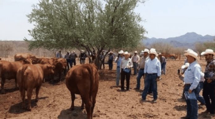 UGRS confirma que aumentó la seguridad en zona rural