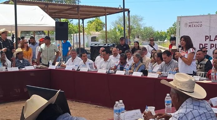 Piden Mayos trato de gobierno a gobierno a Claudia Sheinbaum