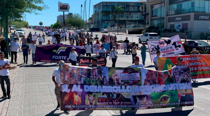 Marchan galleros, cabalgantes y veterinarios en contra de nueva Ley de Protección Animal en Hermosillo