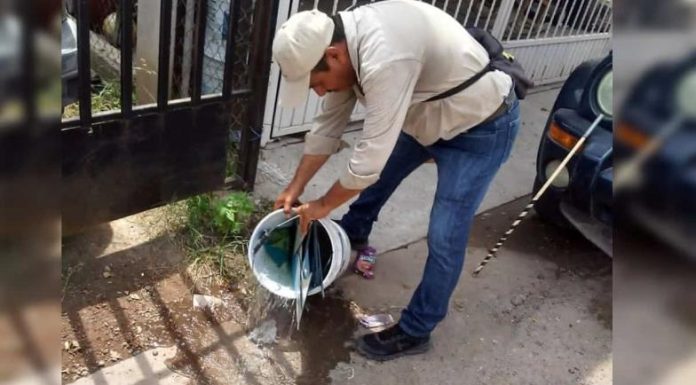 Refuerzan lucha contra el dengue